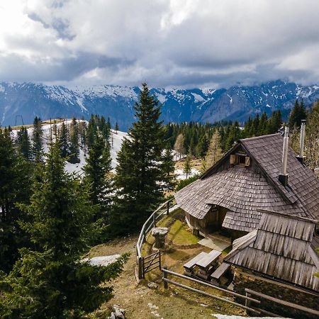 Alpine Chalet Velika Planina - Irenca - I Feel Alps Стаховица Экстерьер фото
