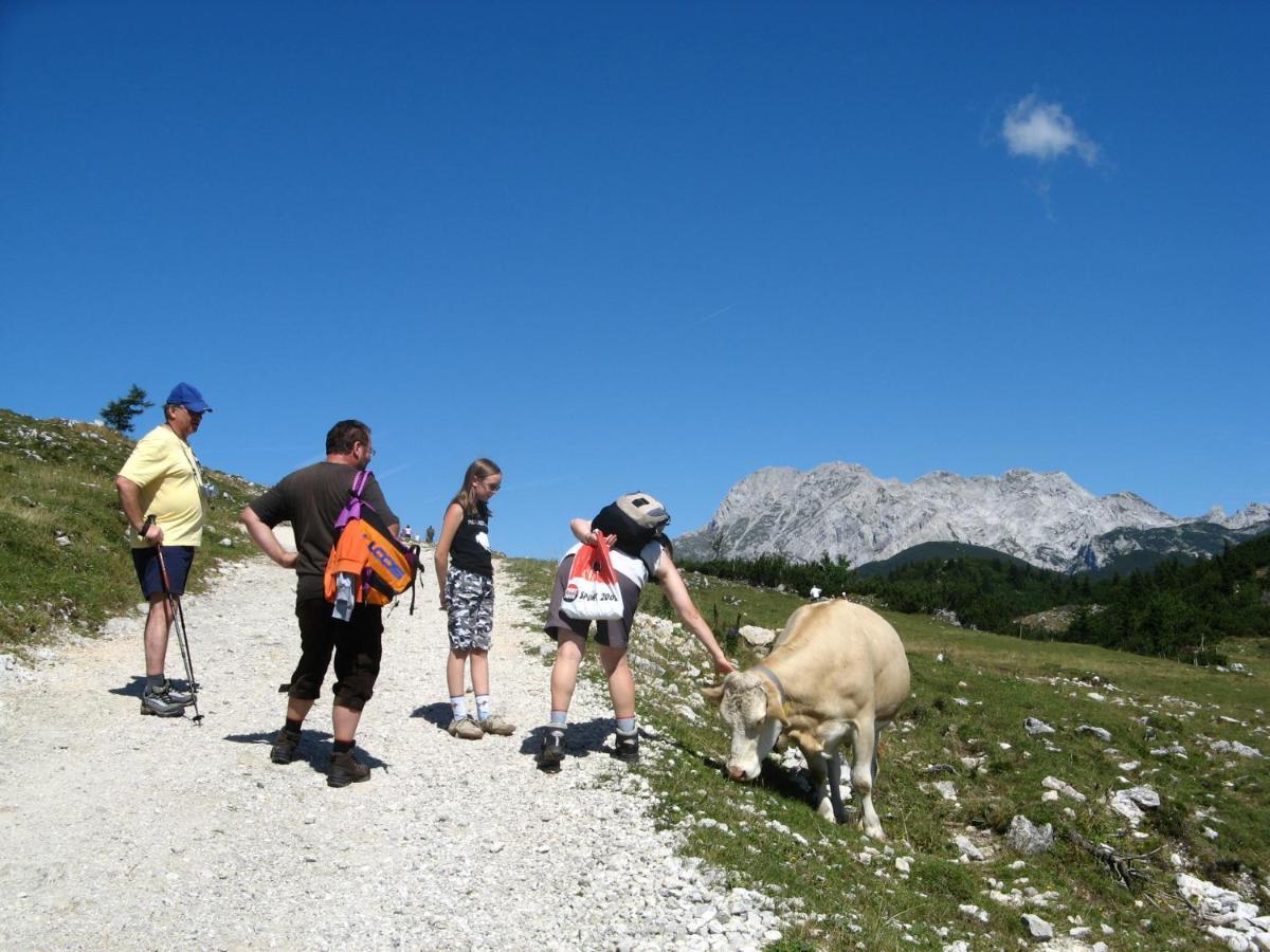 Alpine Chalet Velika Planina - Irenca - I Feel Alps Стаховица Экстерьер фото